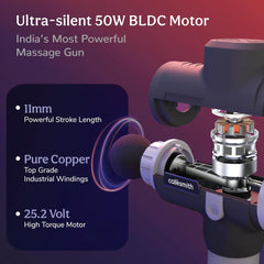 Caresmith Charge Sport Professional Massage Gun